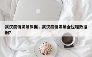 武汉疫情发展数据，武汉疫情发展全过程数据图？