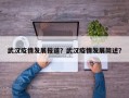 武汉疫情发展报道？武汉疫情发展简述？
