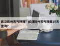 武汉新州天气预报？武汉新州天气预报15天查询？