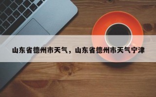 山东省德州市天气，山东省德州市天气宁津