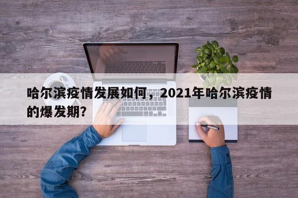 哈尔滨疫情发展如何，2021年哈尔滨疫情的爆发期？-第1张图片-恒川新闻