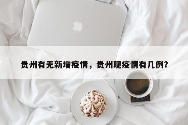 贵州有无新增疫情，贵州现疫情有几例？-第1张图片-恒川新闻