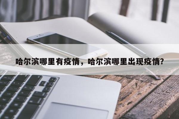 哈尔滨哪里有疫情，哈尔滨哪里出现疫情？-第1张图片-恒川新闻