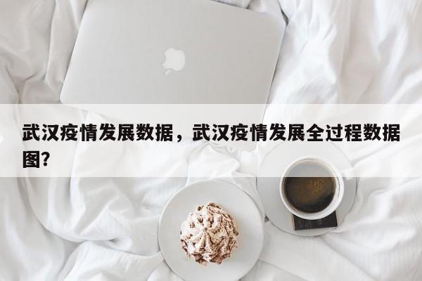 武汉疫情发展数据，武汉疫情发展全过程数据图？-第1张图片-恒川新闻