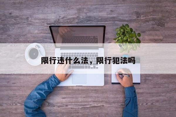 限行违什么法，限行犯法吗-第1张图片-恒川新闻