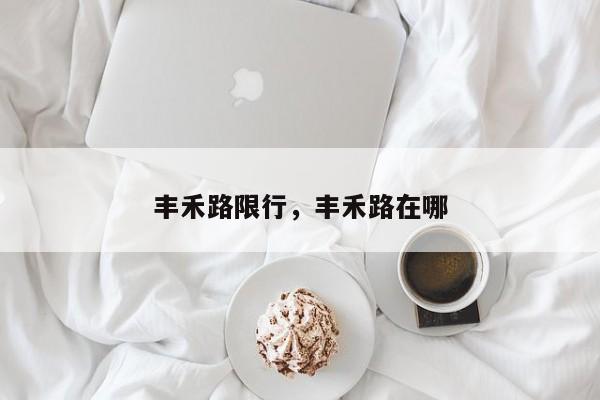 丰禾路限行，丰禾路在哪-第1张图片-恒川新闻