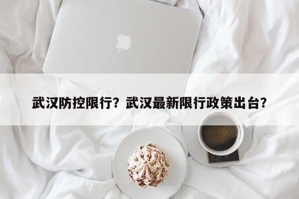 武汉防控限行？武汉最新限行政策出台？-第1张图片-恒川新闻